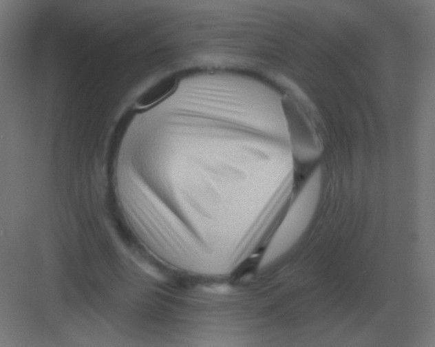 X0000081400488200702090107