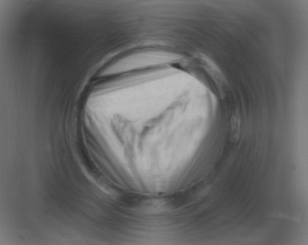 X0000081400492200702090107
