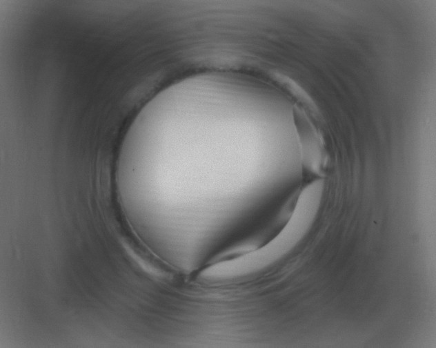 X0000081400493200702090107
