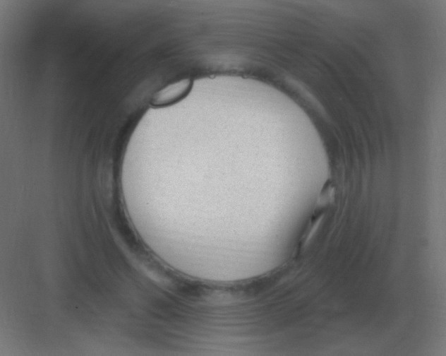 X0000081400494200702090107