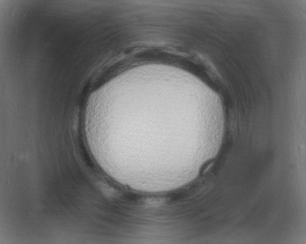 X0000081400495200702090107