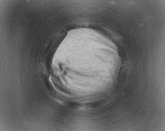 X0000081400504200702090107