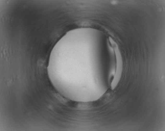 X0000081400521200702090107