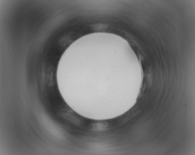 X0000081400525200702090107