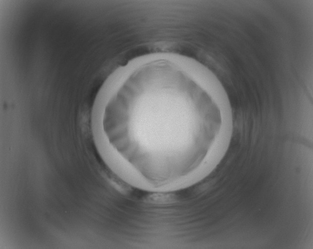 X0000081400526200702090107