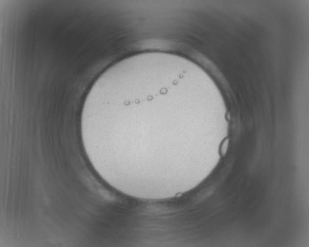 X0000081400529200702090106