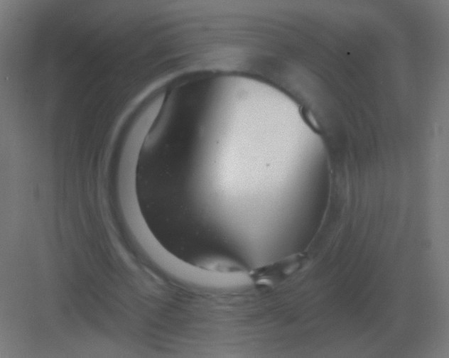 X0000081400532200702090106