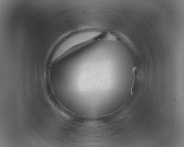 X0000081400540200702090106