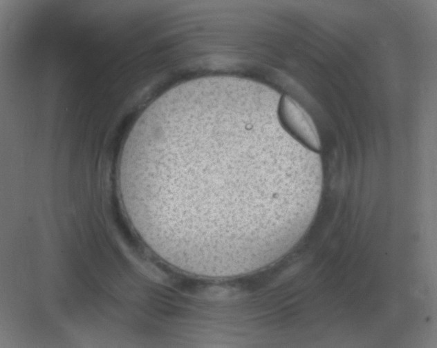 X0000081400542200702090106