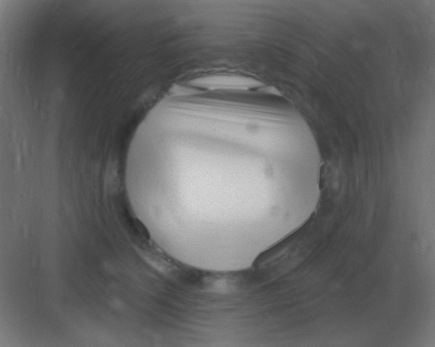 X0000081400564200702090106