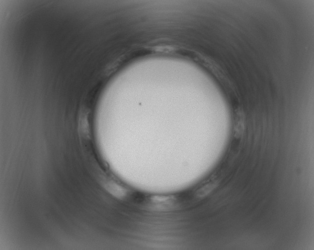 X0000081400573200702090107