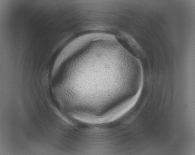 X0000081400585200702090106
