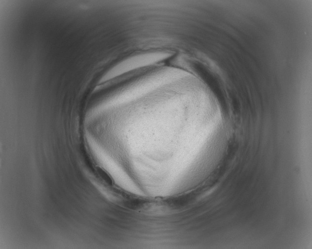 X0000081400589200702090106