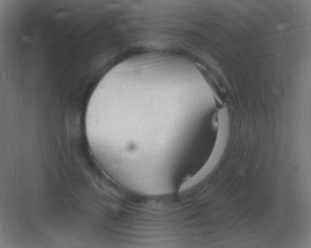 X0000081400596200702090105