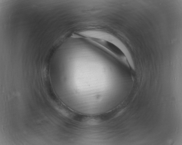 X0000081400597200702090105