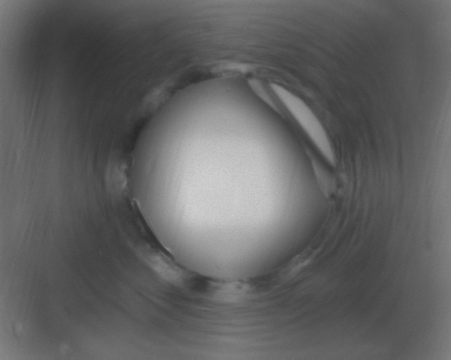 X0000081400621200702090105