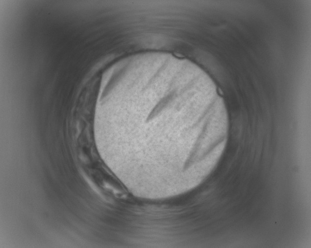 X0000081400626200702090104