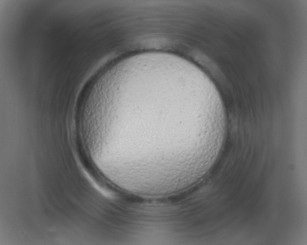 X0000081400630200702090104