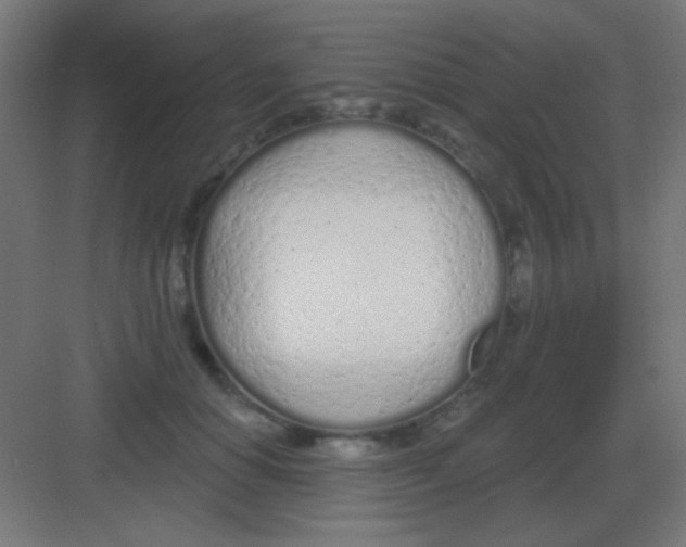 X0000081400654200702090105