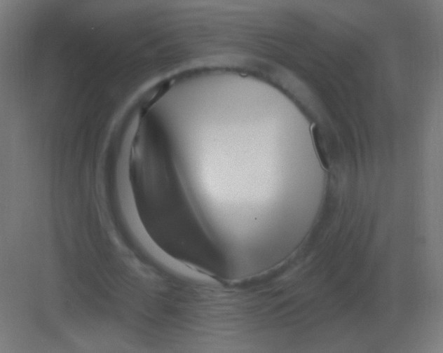 X0000081400676200702090104