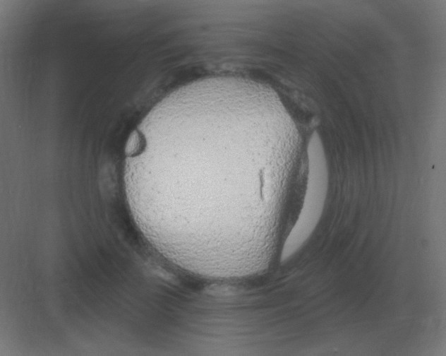 X0000081400699200702090104