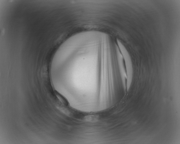 X0000081400700200702090104