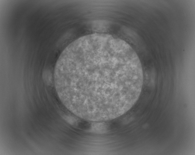 X0000081400705200702090104