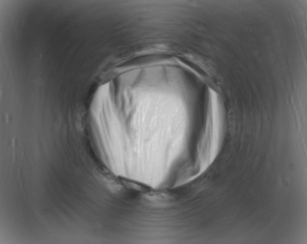 X0000081400712200702090104