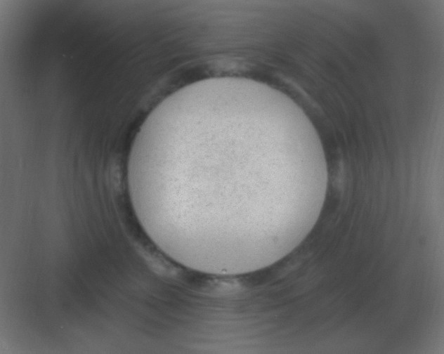 X0000081400715200702090104
