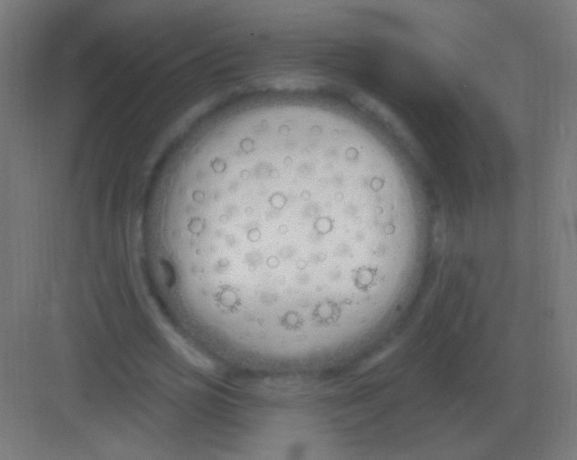 X0000081400725200702090103