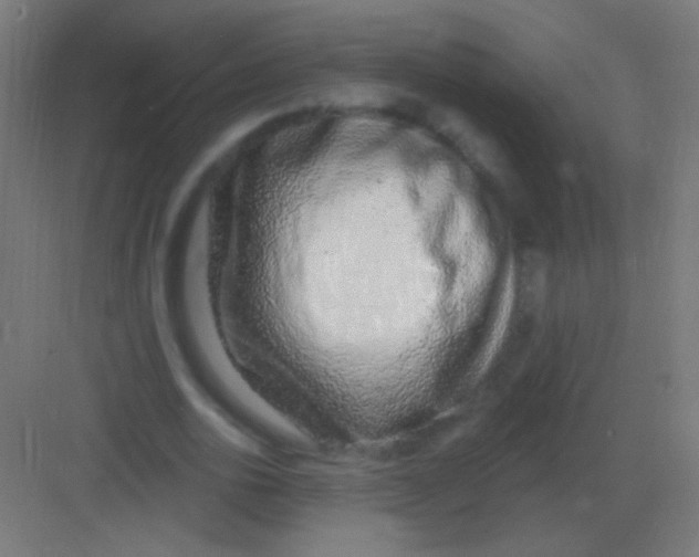 X0000081400726200702090103