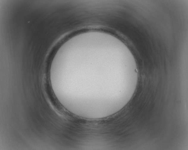 X0000081400728200702090103