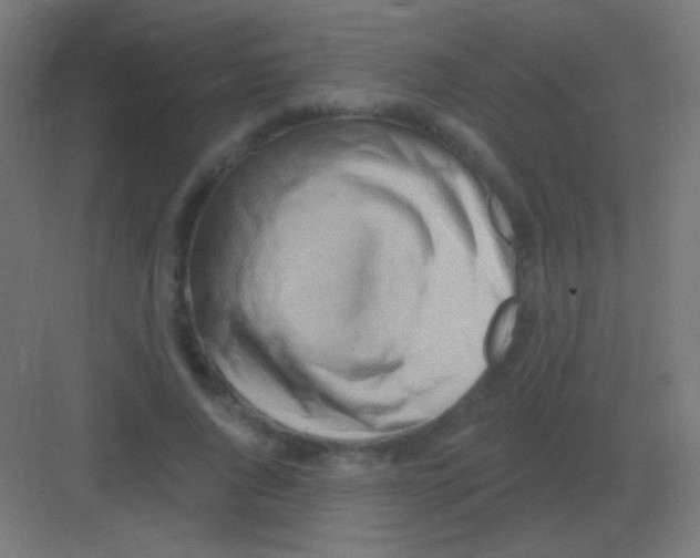 X0000081400736200702090103