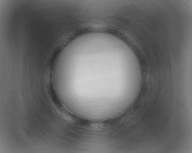 X0000081400744200702090103