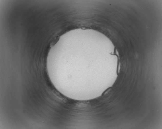 X0000081400756200702090103