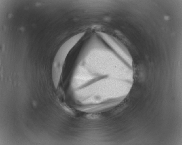 X0000081400762200702090103