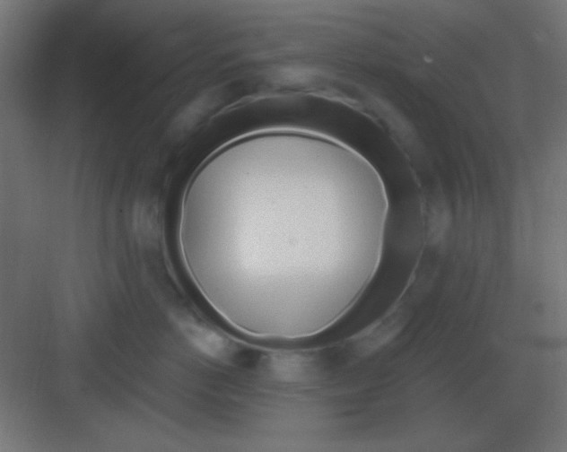 X0000081400766200702090103