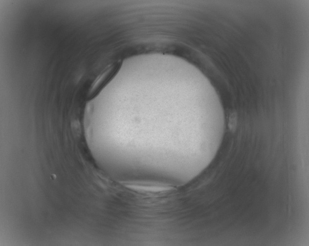X0000081400771200702090103