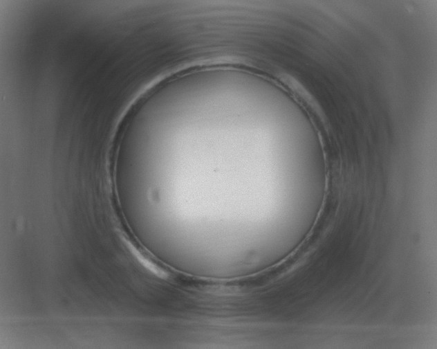 X0000081400789200702090102