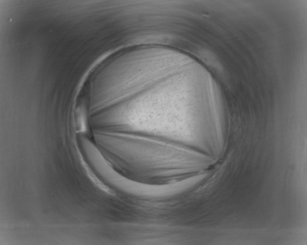 X0000081400792200702090102