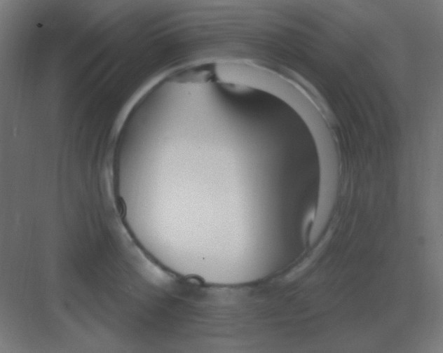 X0000081400812200702090102