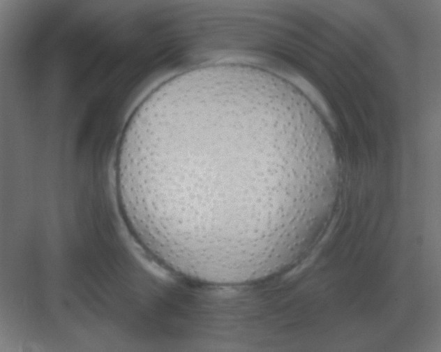 X0000081400814200702090102