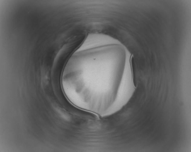 X0000081400818200702090101