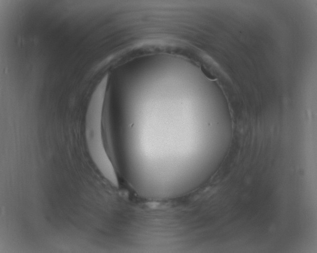 X0000081400822200702090101