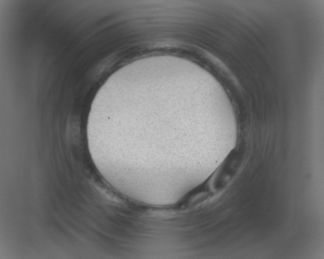 X0000081400825200702090101