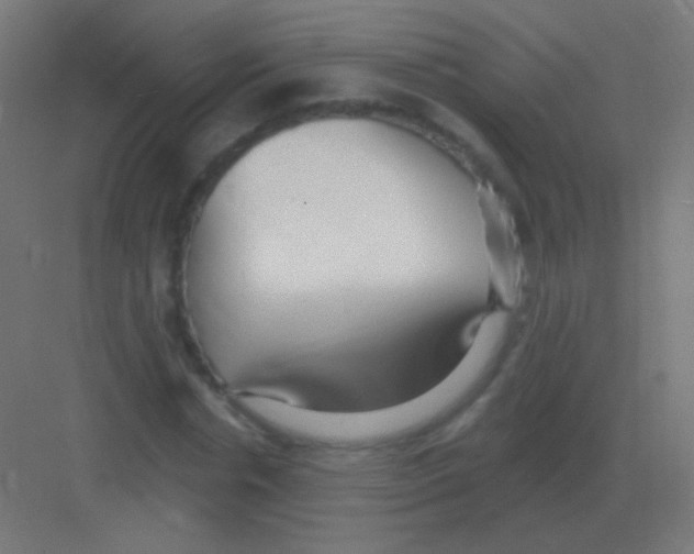X0000081400826200702090101