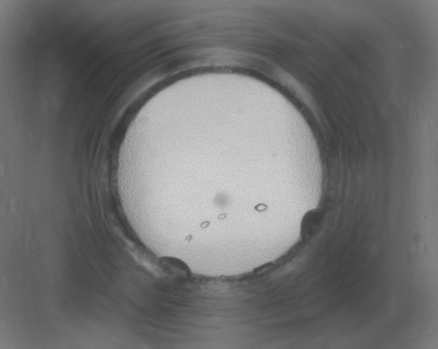 X0000081400827200702090101