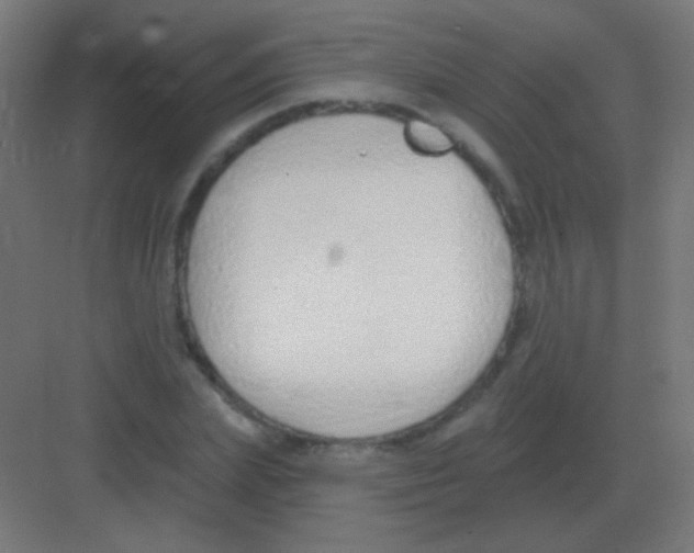 X0000081400831200702090101