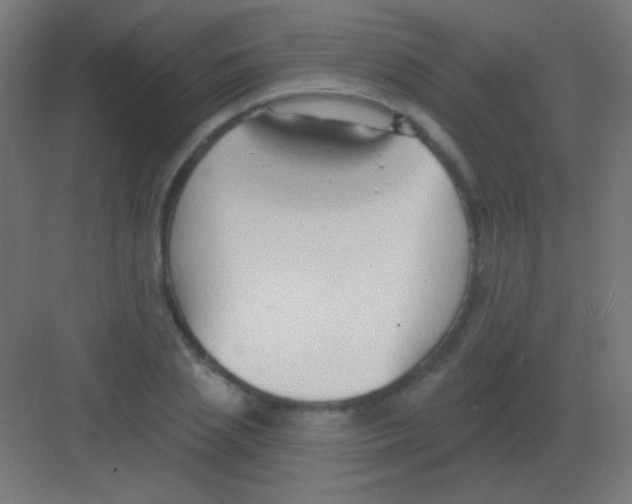 X0000081400837200702090101