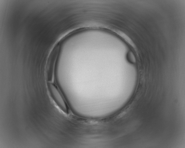 X0000081400839200702090101